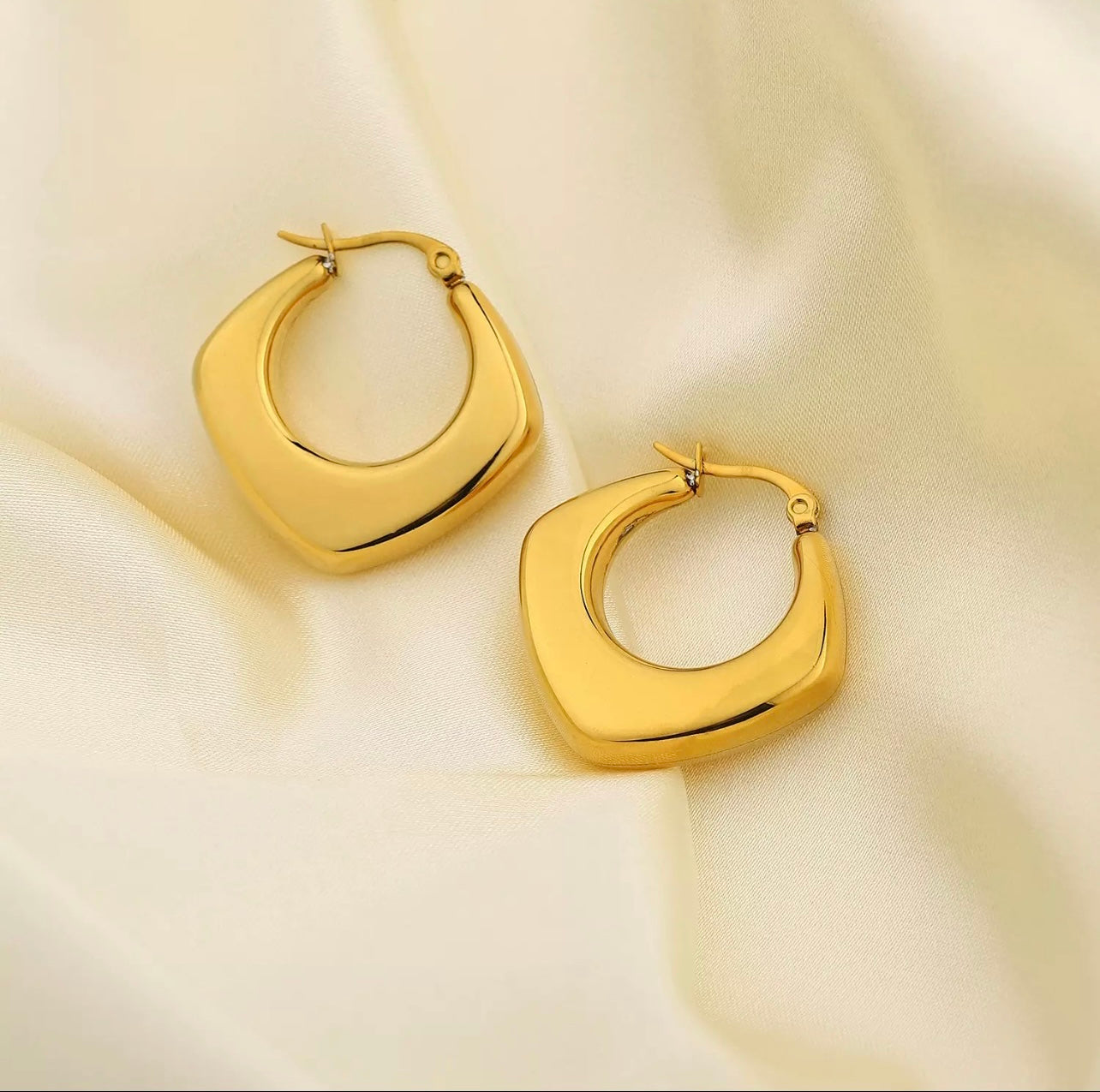 Horseshoe Earrings